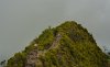 8/7 DSC_3186 site.jpg